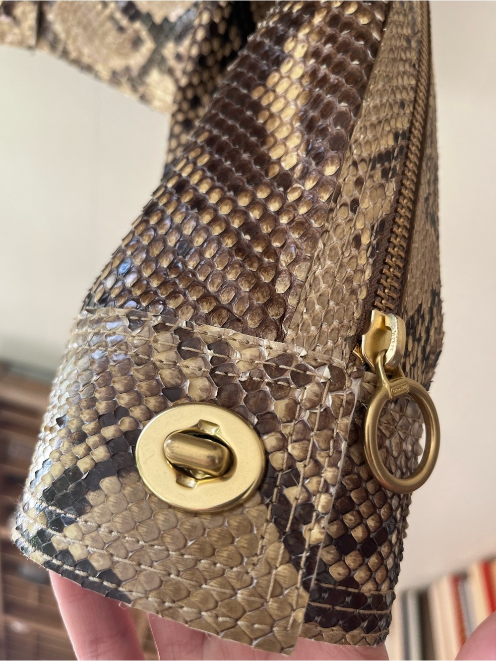Genuine Python Coach jacket - Picture 11 of 16